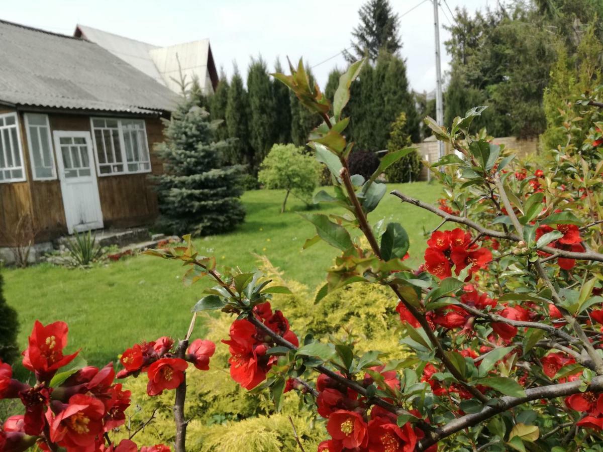 Вилла Siedlisko Jozefka Zarobka Экстерьер фото